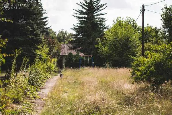 Bild von Wien entdecken VI