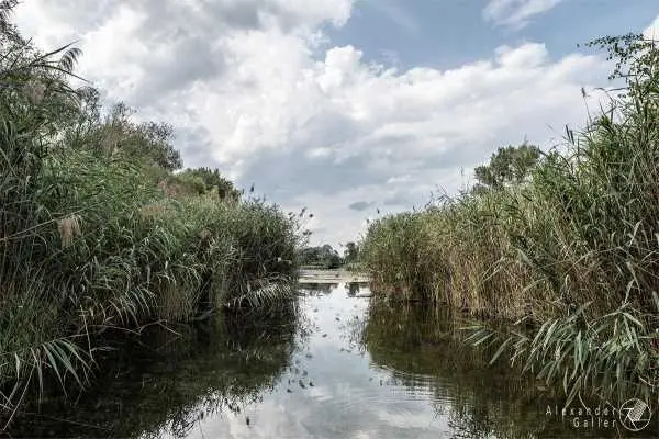 Bild von Wien entdecken VI