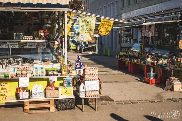 Bild von Wien entdecken VII