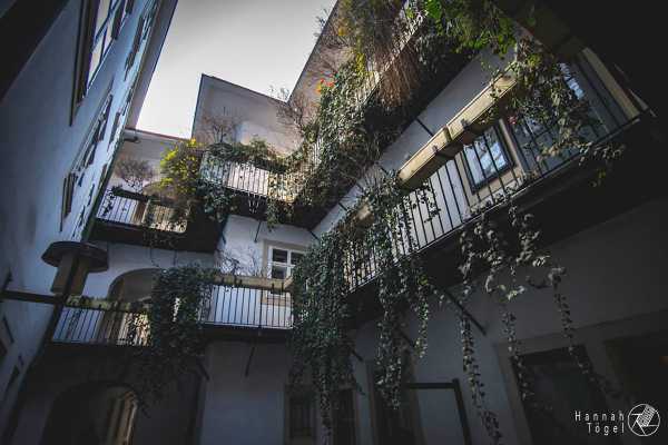 Bild von Wien entdecken VII