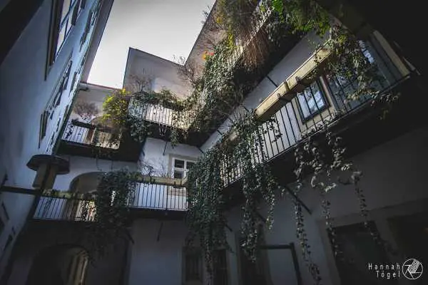 Bild von Wien entdecken VII