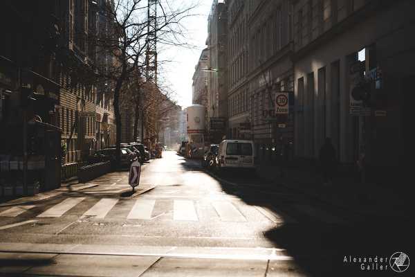 Bild von Wien entdecken VII