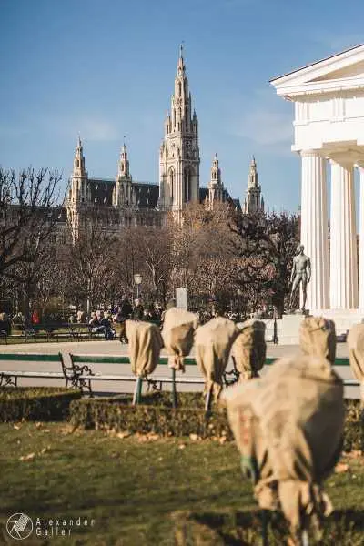 Bild von Wien entdecken VII