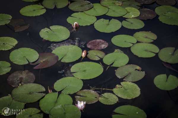 Wien entdecken VIII Bild von Wien entdecken VIII