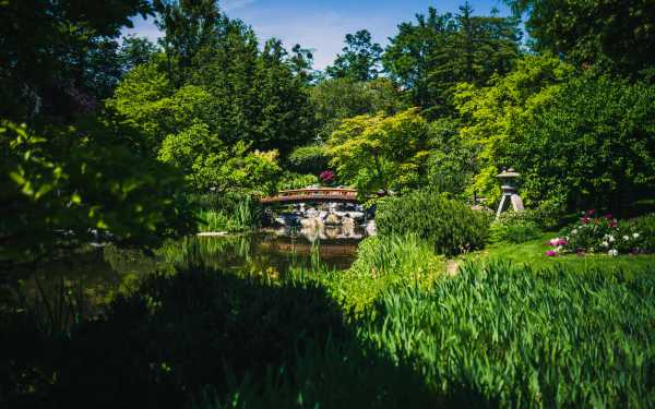 Wien entdecken VIII Bild von Wien entdecken VIII