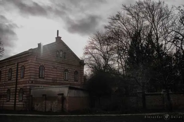 Bild von Wien entdecken X