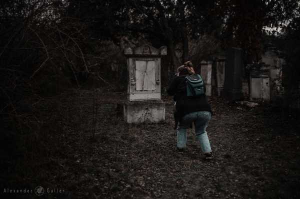 Wien entdecken X Bild von Wien entdecken X