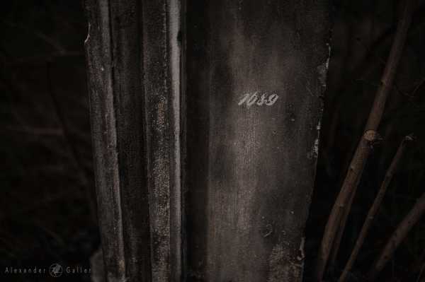 Wien entdecken X Bild von Wien entdecken X