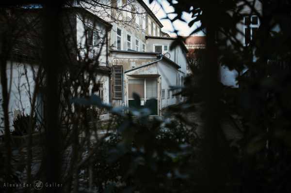 Wien entdecken X Bild von Wien entdecken X