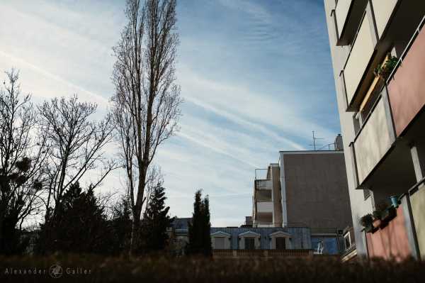 Wien entdecken X Bild von Wien entdecken X