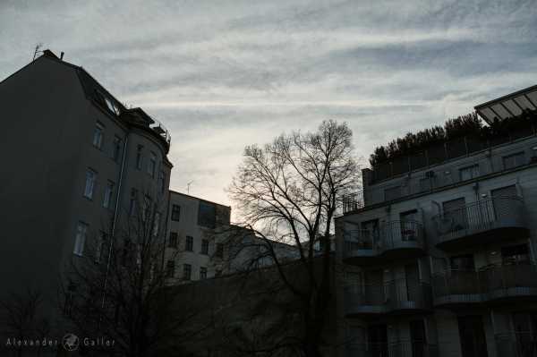 Wien entdecken X Bild von Wien entdecken X