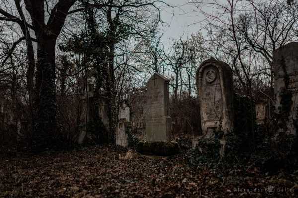 Wien entdecken X Bild von Wien entdecken X