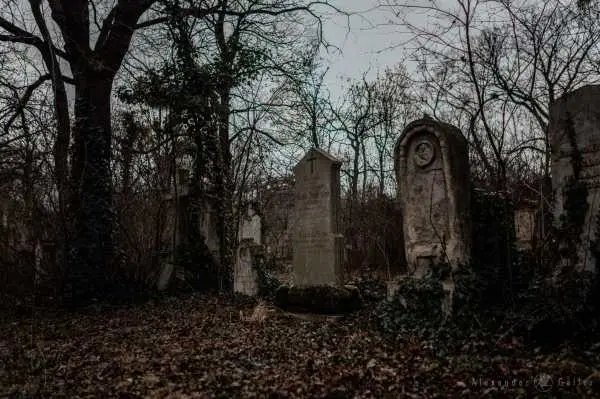 Bild von Wien entdecken X