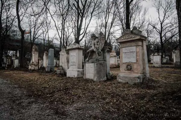 Bild von Wien entdecken X