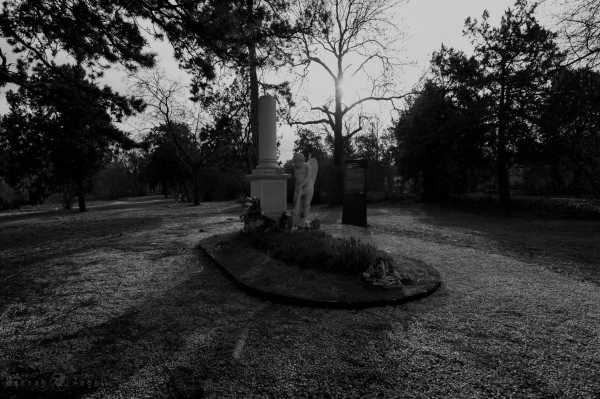 Wien entdecken X Bild von Wien entdecken X