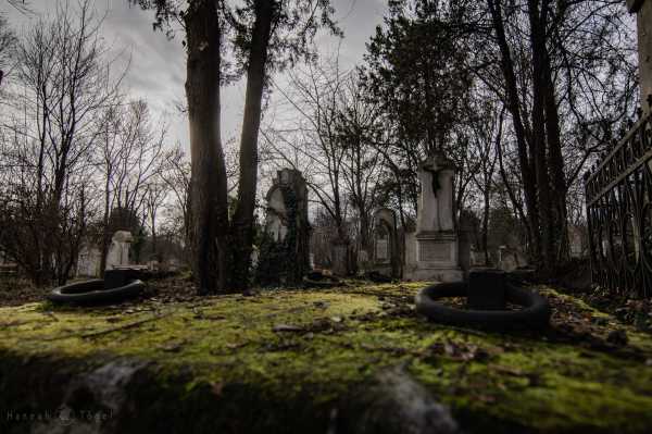 Wien entdecken X Bild von Wien entdecken X