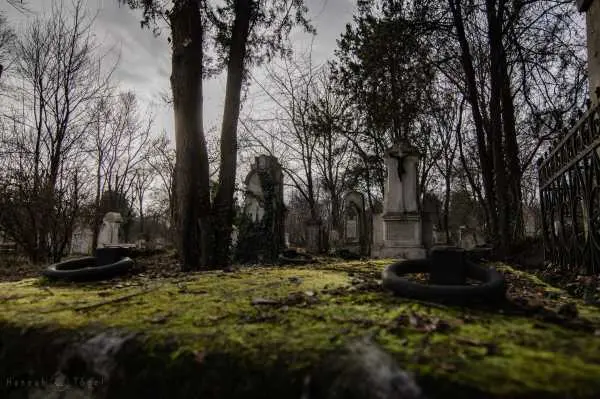 Bild von Wien entdecken X