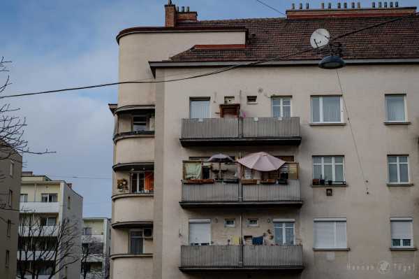 Wien entdecken X Bild von Wien entdecken X