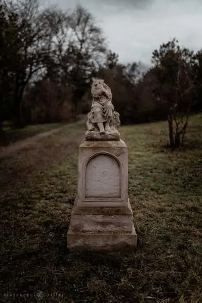 Bild von Wien entdecken X