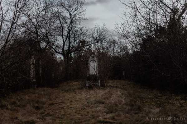 Wien entdecken X Bild von Wien entdecken X