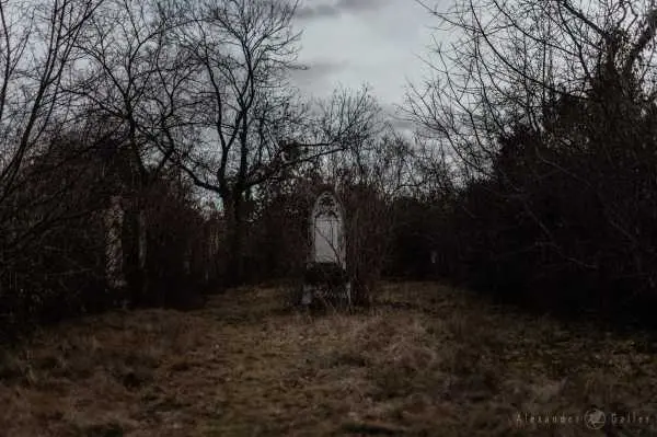 Bild von Wien entdecken X