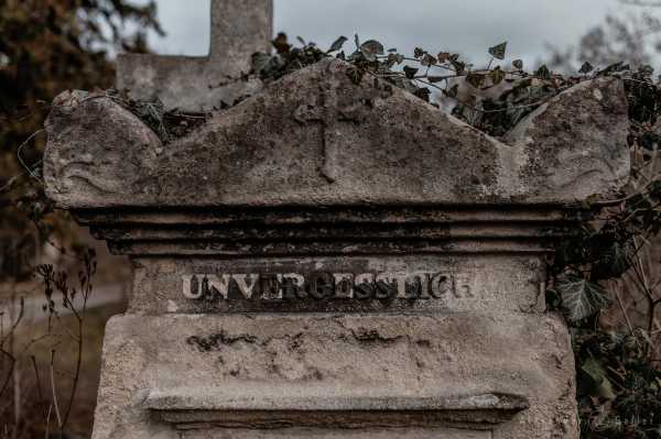 Wien entdecken X Bild von Wien entdecken X