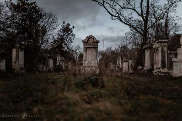 Wien entdecken X Bild von Wien entdecken X