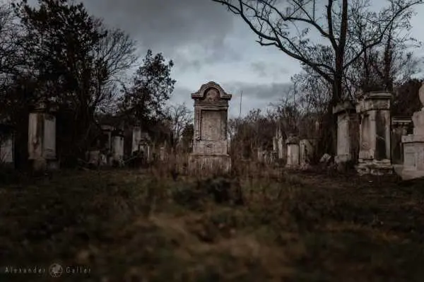 Bild von Wien entdecken X