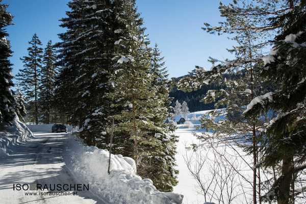 Bild von Winterwunderland