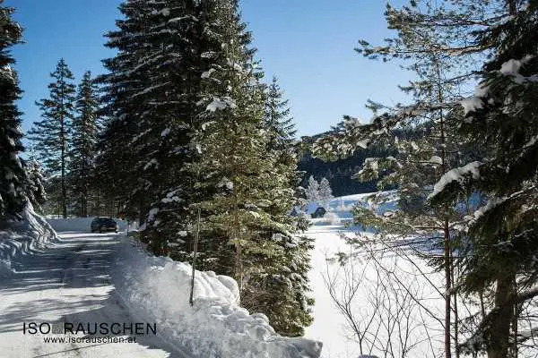 Bild von Winterwunderland