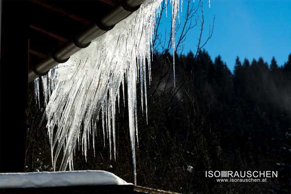 Bild von Winterwunderland