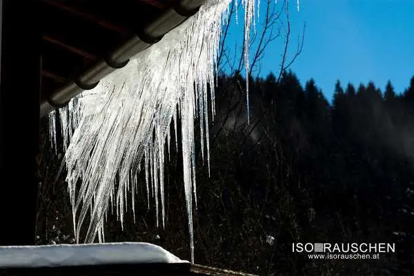 Bild von Winterwunderland