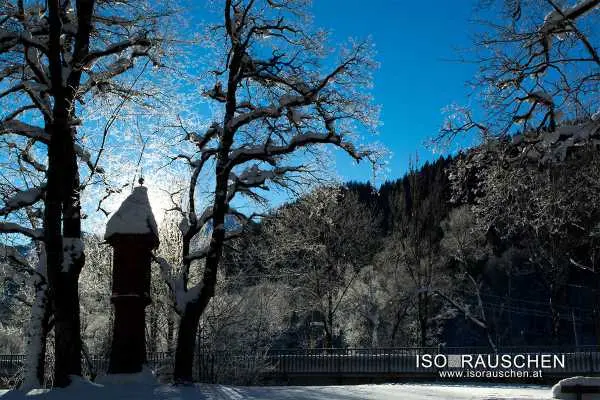 Bild von Winterwunderland