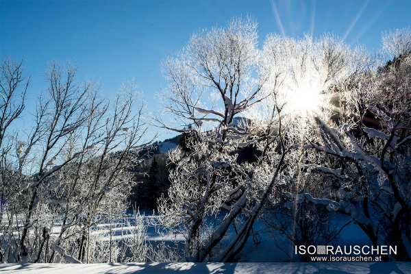 Bild von Winterwunderland