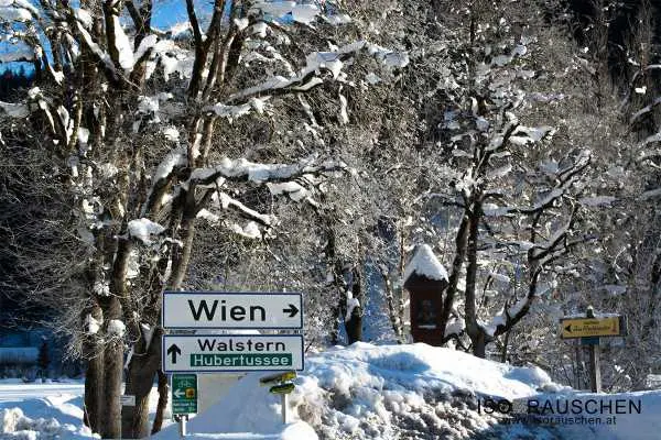Bild von Winterwunderland