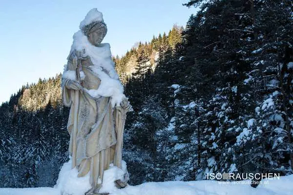 Bild von Winterwunderland