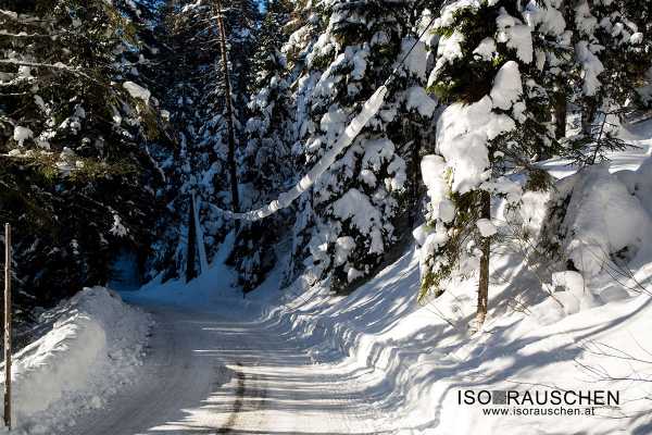 Bild von Winterwunderland