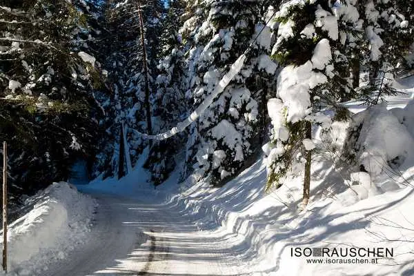 Bild von Winterwunderland