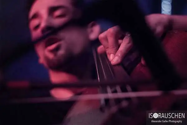 Bild von Teddybear Cove