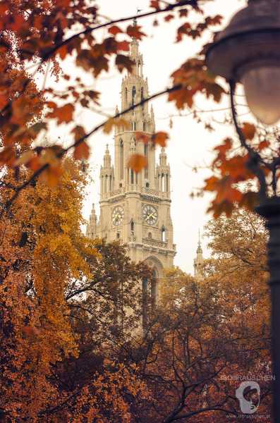 Bild von Zwischen Farbe und Schwarzweiß