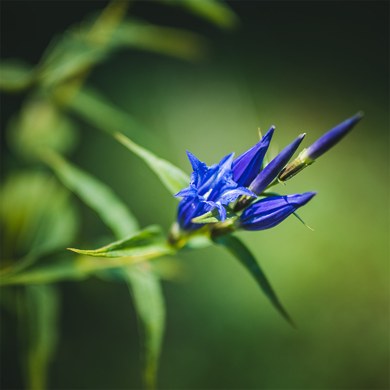 Bild, Beispielbild zu Landschaft Natur