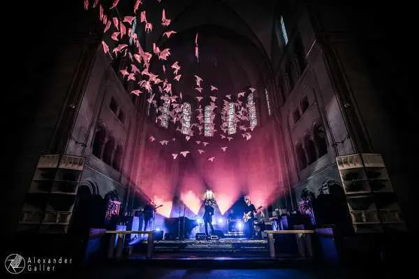 Bild von Black Palms Orchestra